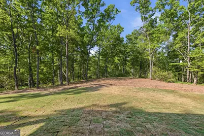 110 Fall Pippin Court, Clarkesville, GA 30523 - Photo 70