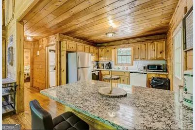9947 Doublehead Gap Road, Blue Ridge, GA 30513 - Photo 6