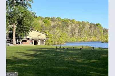 116 Blue Ridge Drive, Sautee Nacoochee, GA 30571 - Photo 28