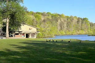 116 Blue Ridge Dr, Sautee Nacoochee, GA 30571 - Photo 28