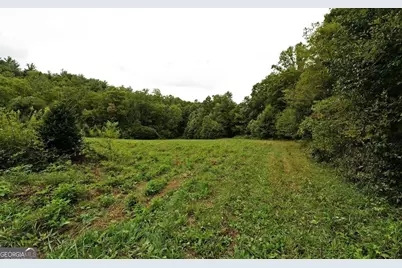 0 Lloyds Cove, Scaly Mountain, NC 28775 - Photo 12