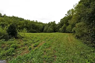 0 Lloyds Cove, Scaly Mountain, NC 28775 - Photo 12