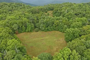 0 Lloyds Cove, Scaly Mountain, NC 28775 - Photo 8