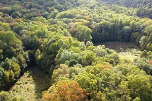 0 Lloyds Cove, Scaly Mountain, NC 28775 - Photo 24