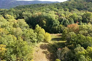 0 Lloyds Cove, Scaly Mountain, NC 28775 - Photo 18