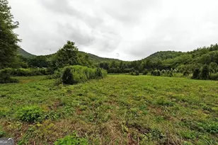 0 Lloyds Cove, Scaly Mountain, NC 28775 - Photo 14
