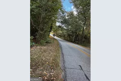 230 Dodgen Road, Hampton, GA 30228 - Photo 12