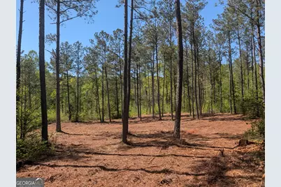 6 Mangum Lane, Pendergrass, GA 30567 - Photo 4
