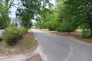 212 Baker St, Brooklet, GA 30415 - Photo 16