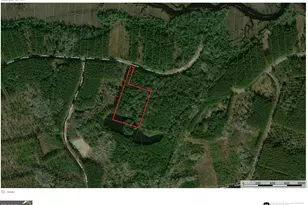 5 01 Acres La Sole Ln, Waverly, GA 31565 - Photo 1