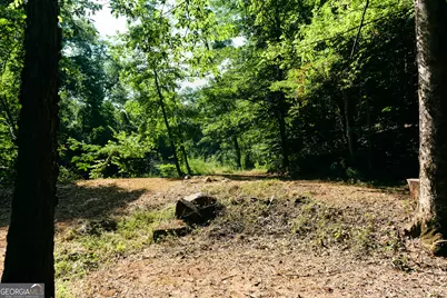 177 Antler Drive, Thomaston, GA 30286 - Photo 56