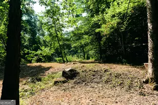 177 Antler Dr, Thomaston, GA 30286 - Photo 56
