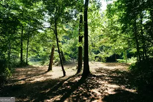 177 Antler Dr, Thomaston, GA 30286 - Photo 48