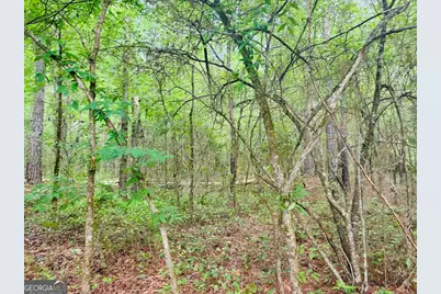 0 Wall Street, Tallassee, AL 36078 - Photo 4