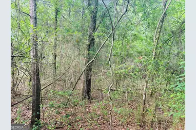 0 Wall Street, Tallassee, AL 36078 - Photo 6
