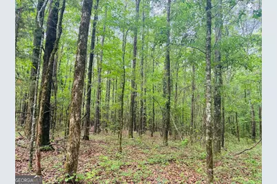 0 Wall Street, Tallassee, AL 36078 - Photo 12