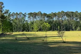 176 Niederriter Ln, Vidalia, GA 30474 - Photo 14
