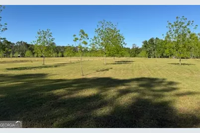 176 Niederriter Lane, Vidalia, GA 30474 - Photo 20