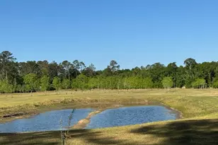 176 Niederriter Ln, Vidalia, GA 30474 - Photo 6