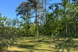 176 Niederriter Ln, Vidalia, GA 30474 - Photo 8