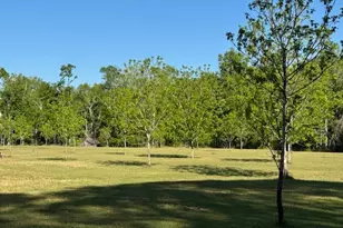 176 Niederriter Ln, Vidalia, GA 30474 - Photo 12