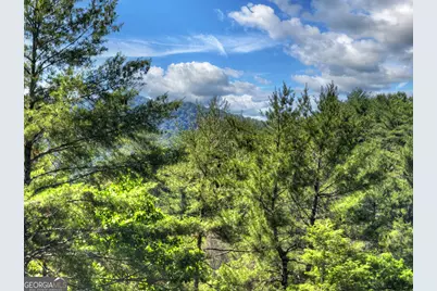 260 Down Under Road, Blue Ridge, GA 30513 - Photo 44