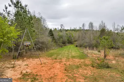 3912 US Highway 82, Morris, GA 39867 - Photo 46