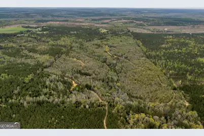 3912 US Highway 82, Morris, GA 39867 - Photo 10