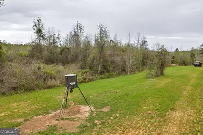 3912 US Highway 82, Morris, GA 39867 - Photo 50