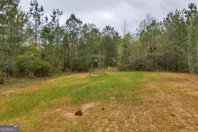 3912 US Highway 82, Morris, GA 39867 - Photo 64