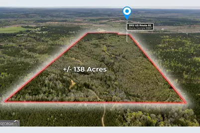 3912 US Highway 82, Morris, GA 39867 - Photo 1
