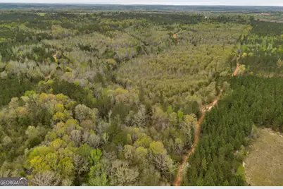 3912 US Highway 82, Morris, GA 39867 - Photo 14