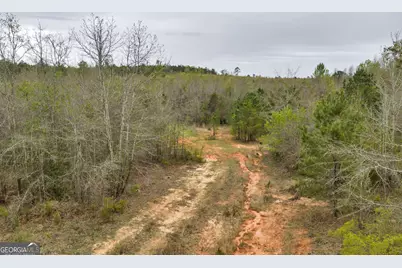 3912 US Highway 82, Morris, GA 39867 - Photo 44
