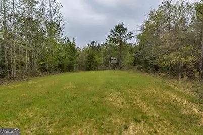 3912 US Highway 82, Morris, GA 39867 - Photo 52