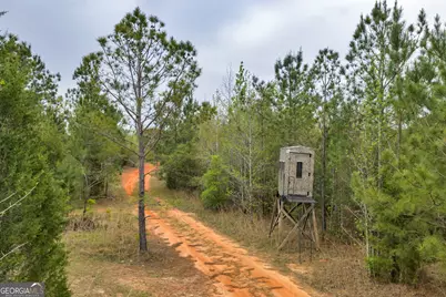 3912 US Highway 82, Morris, GA 39867 - Photo 54