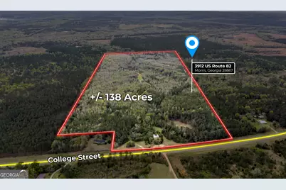 3912 US Highway 82, Morris, GA 39867 - Photo 2
