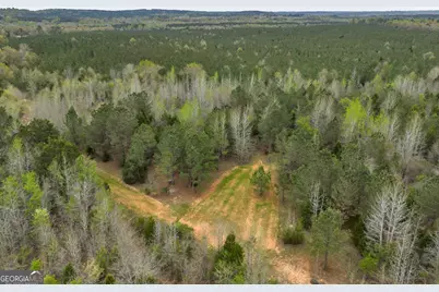 3912 US Highway 82, Morris, GA 39867 - Photo 18