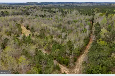 3912 US Highway 82, Morris, GA 39867 - Photo 32