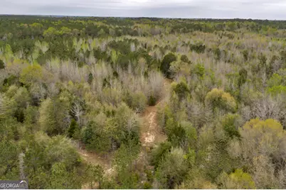 3912 US Highway 82, Morris, GA 39867 - Photo 16