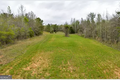 3912 US Highway 82, Morris, GA 39867 - Photo 48