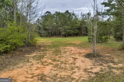 3912 US Highway 82, Morris, GA 39867 - Photo 60