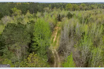 3912 US Highway 82, Morris, GA 39867 - Photo 40