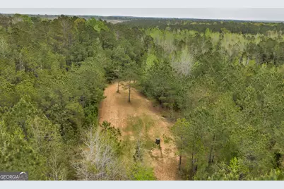 3912 US Highway 82, Morris, GA 39867 - Photo 34