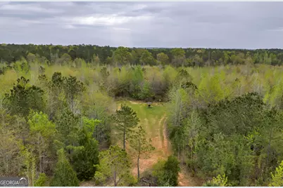 3912 US Highway 82, Morris, GA 39867 - Photo 26
