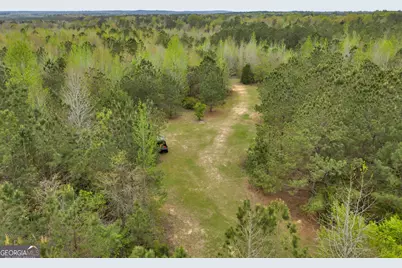 3912 US Highway 82, Morris, GA 39867 - Photo 42