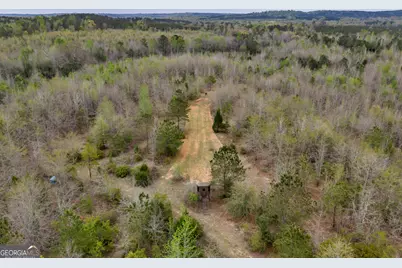 3912 US Highway 82, Morris, GA 39867 - Photo 30