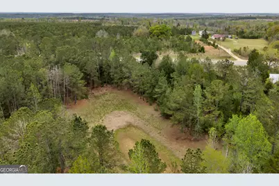 3912 US Highway 82, Morris, GA 39867 - Photo 36
