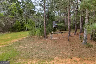 3912 US Highway 82, Morris, GA 39867 - Photo 62