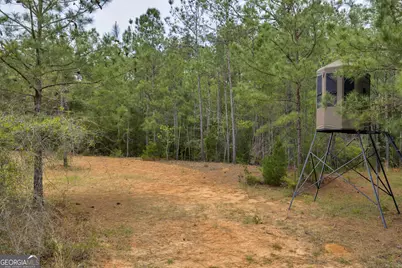 3912 US Highway 82, Morris, GA 39867 - Photo 66