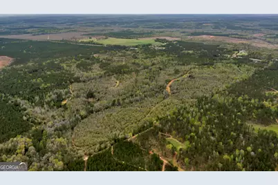 3912 US Highway 82, Morris, GA 39867 - Photo 12